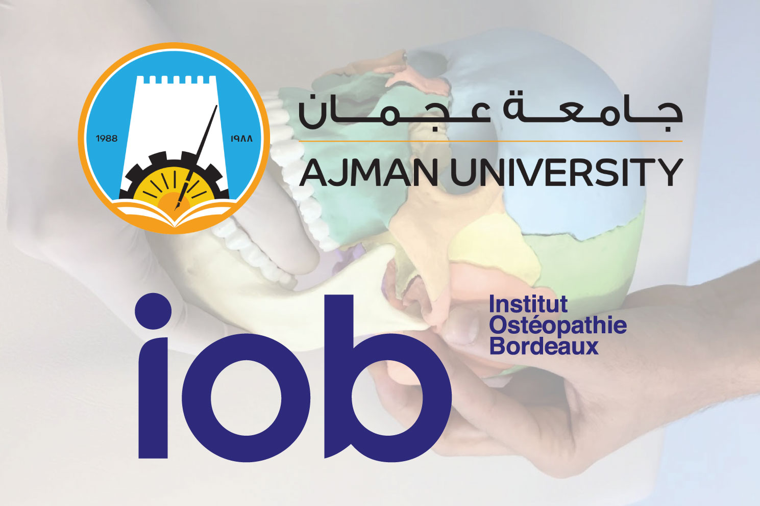 IOB-ecole-osteopathie-bordeaux-partenariat-ajman-university-dubai