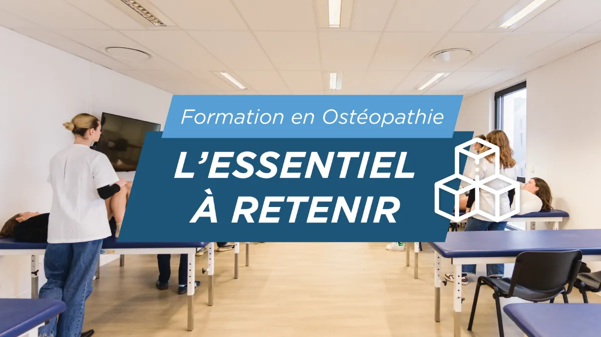 Formation-en-ostéopathie-l'essentiel-à-retenir