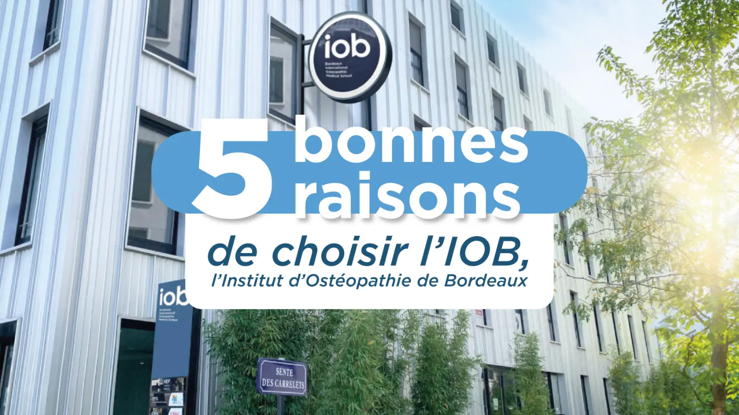 5-bonnes-raisons-de-choisir-l'iob