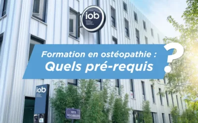 Formation en ostéopathie après le BAC : quels pré-requis ?