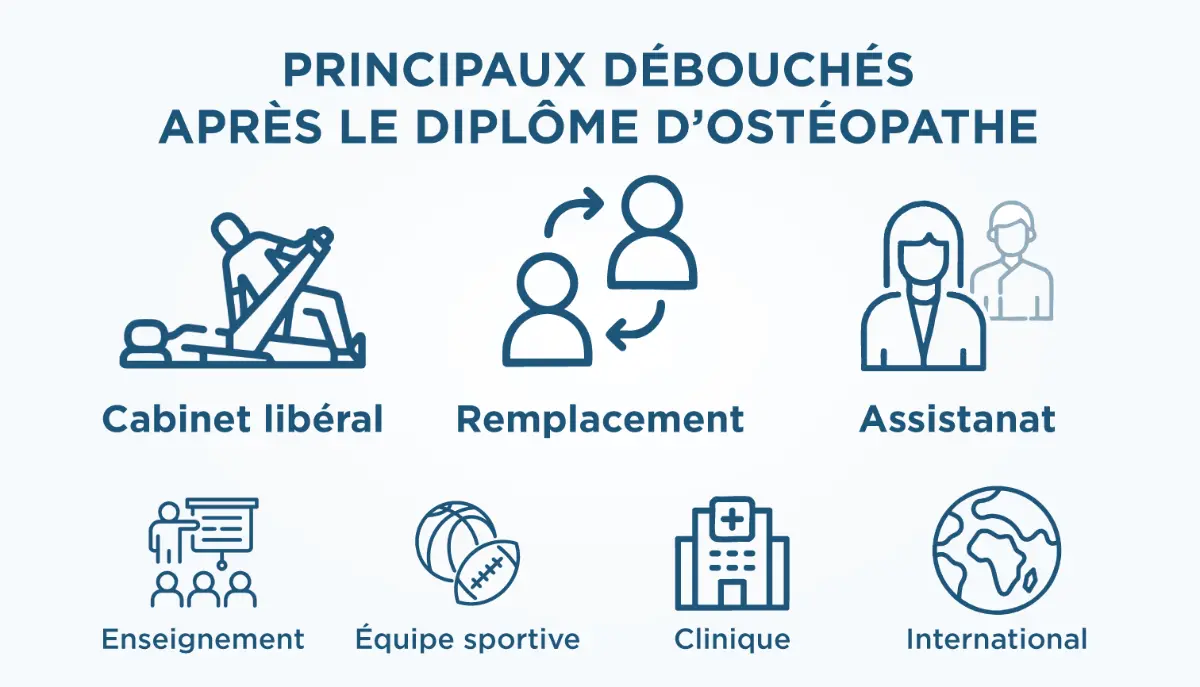 Principaux débouchés après diplôme ostéopathe