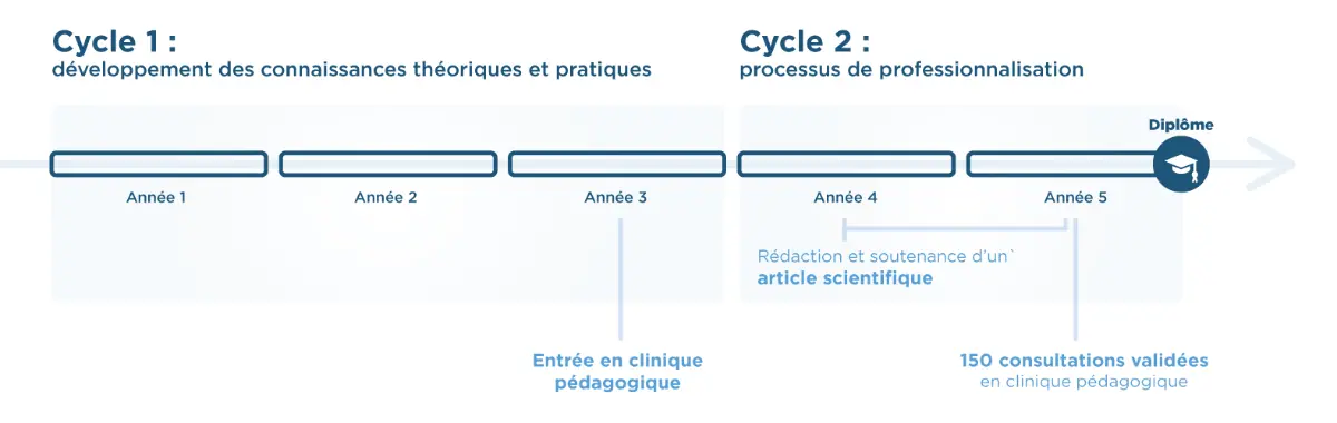 cycles-formation-ostéopathie