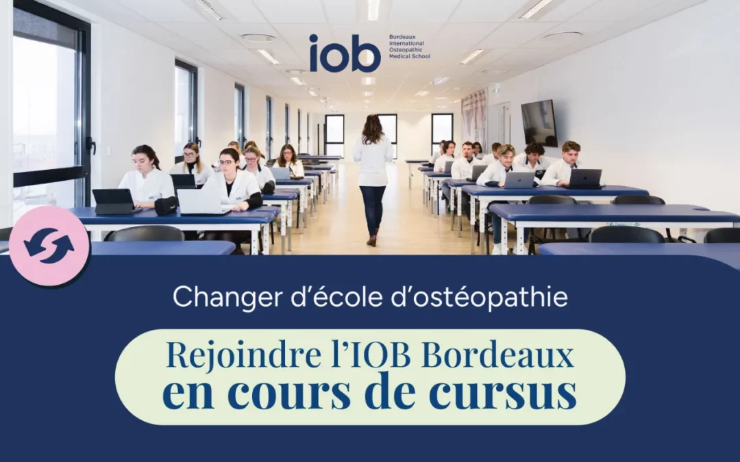 Changer d’école d’ostéopathie : rejoindre l’IOB Bordeaux en cours de cursus